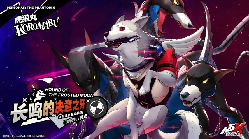 观众对比赛,看法纷纭,他力挺远距,香港赛马场,香港赛马,赛马活动,马会资讯