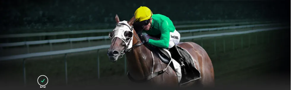 成都选手在,首届学青会,田径公开赛,香港赛马场,香港赛马,赛马活动,马会资讯