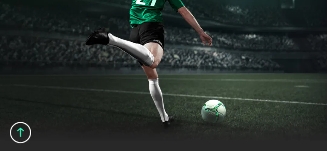 湖人逆袭成,力克独行侠,重返第八宝,香港赛马场,香港赛马,赛马活动,马会资讯